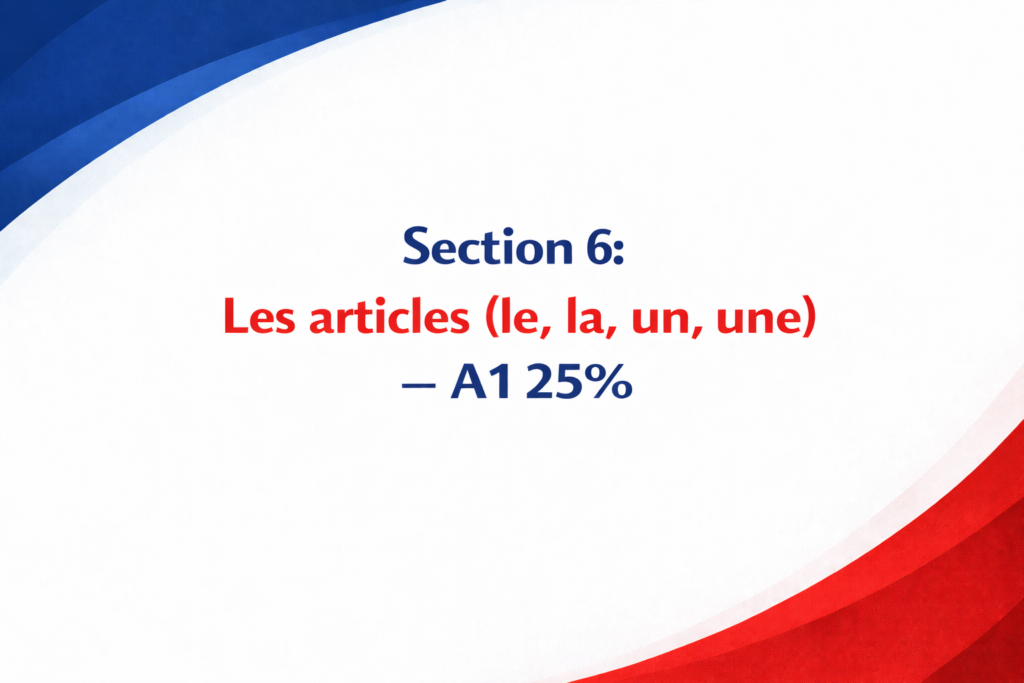 Les articles 16