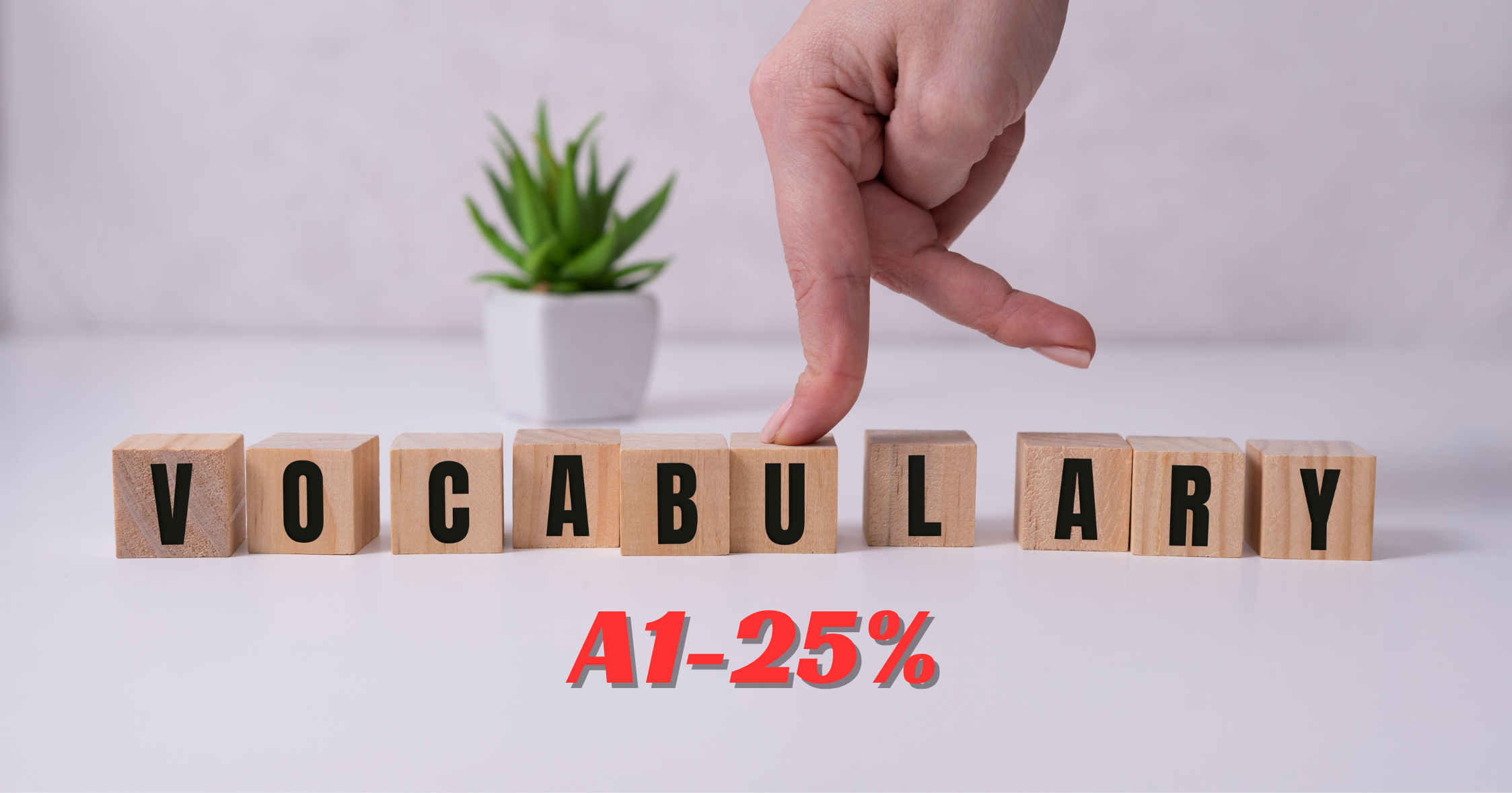 Home a1 25%
