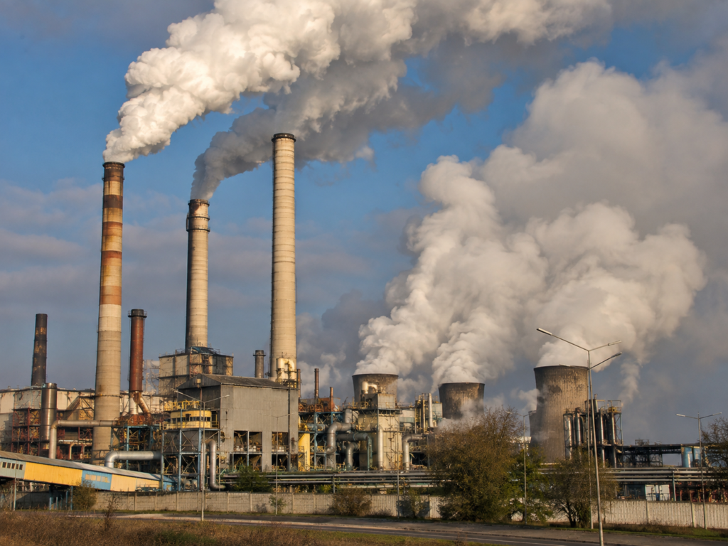 Team Task – Our Environment d